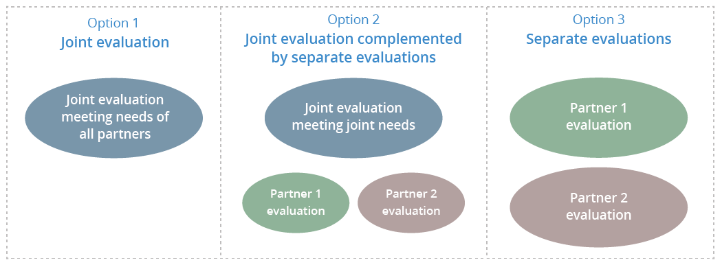 Diagram of three options for joint evaluations