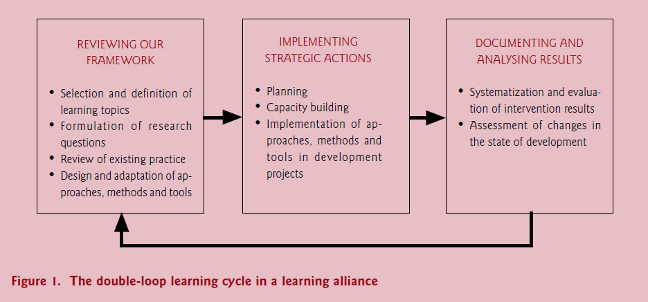 Double-loop learning cycle in a learning alliance