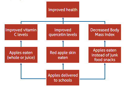 Flow chart starts at the bottom with apples delivered to schools and then shows 3 different paths to arrive at the desired outcome of improved health
