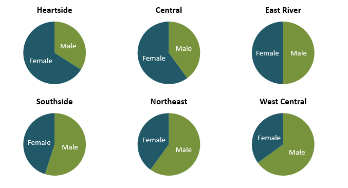 several pie charts