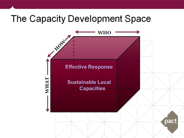 Diagram of the capacity development space