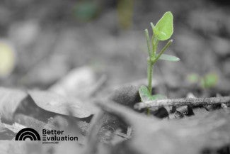 Bland grey background of disrupted leaves and forest floor with new green shoot coming up through the middle