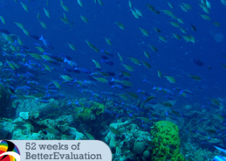 an ocean reef with dozens of fish swimming above coral