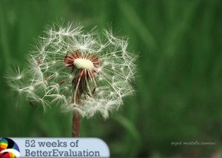 Close up dandelion 