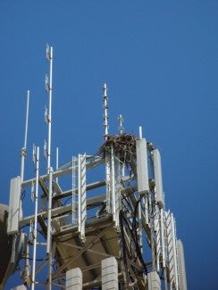 industrial radio antennas 