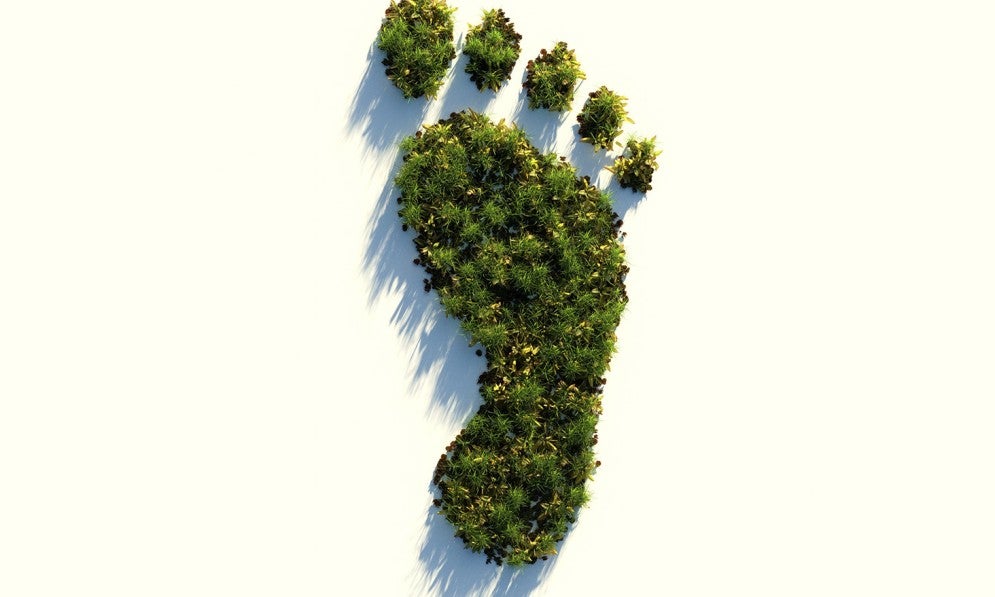 Trees in the shape of a human foot